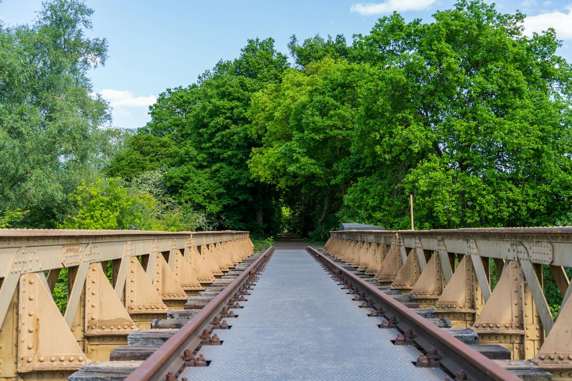 Campus Sustainability Initiative Launched